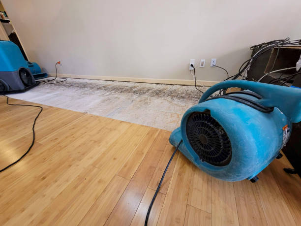 Professional Basement Flood Cleanup technician working in Howell, MI